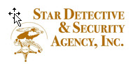 Star Detective & Security Agency
