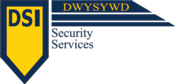 DSI Security