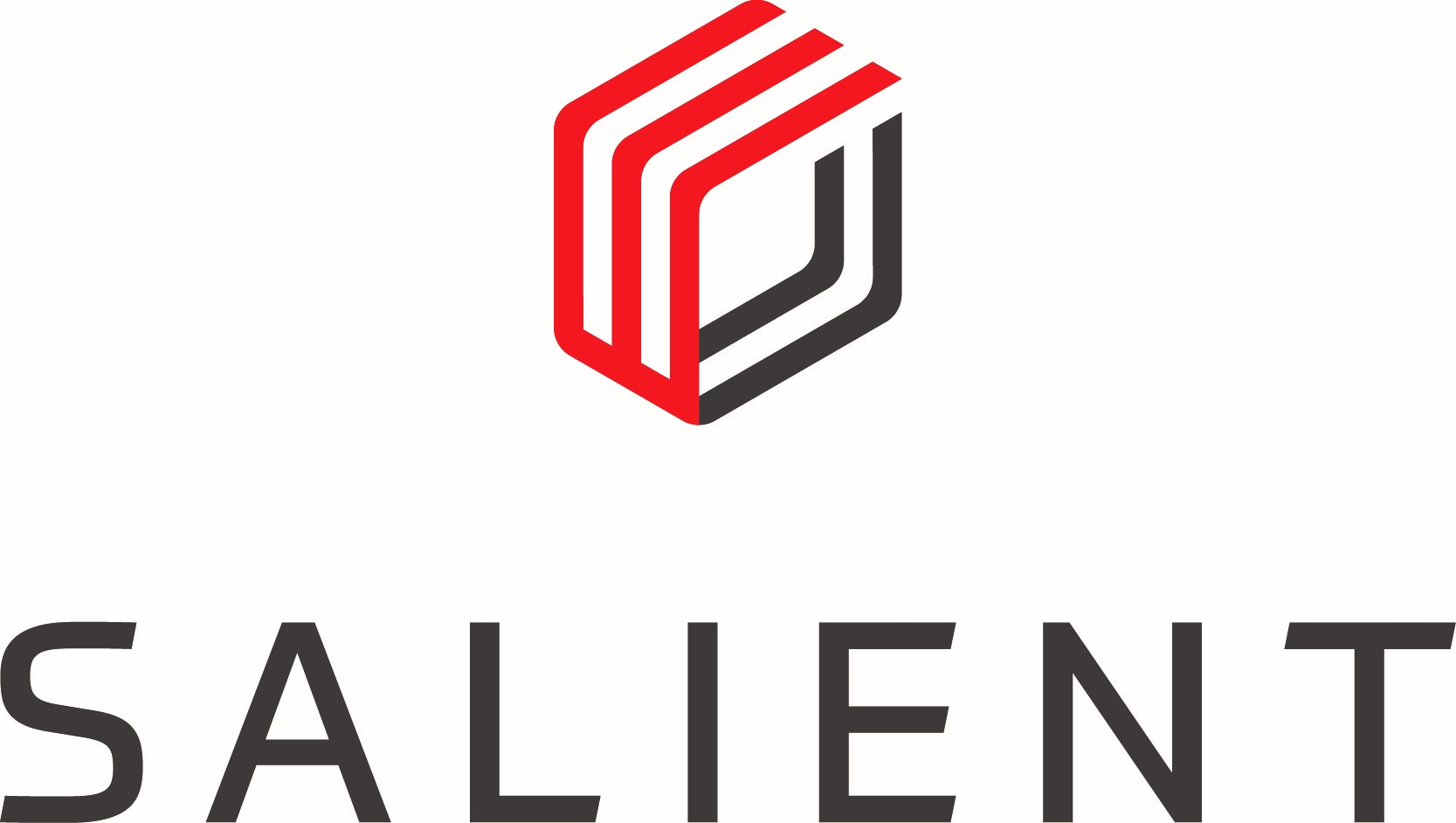 Salient Systems